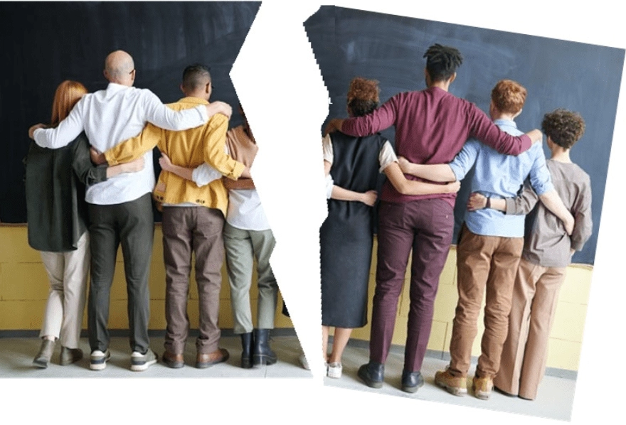 Is Diversiteit op zijn retour? Is Diversiteit op zijn retour?