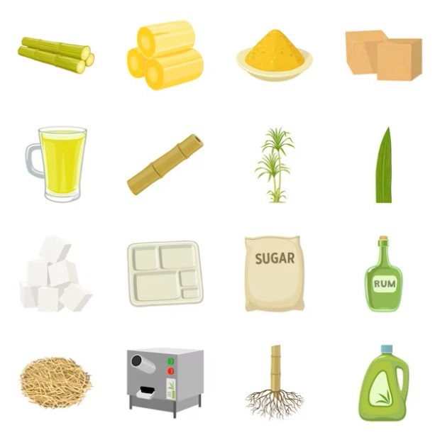 Innovatie: Biobased en Composteerbare verpakkingen