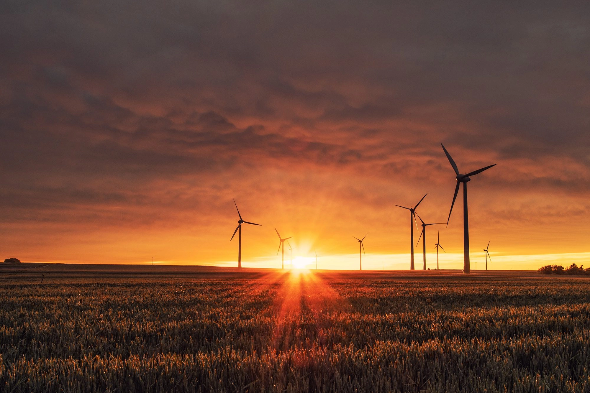 Meerdere klimaatkansen in 2025