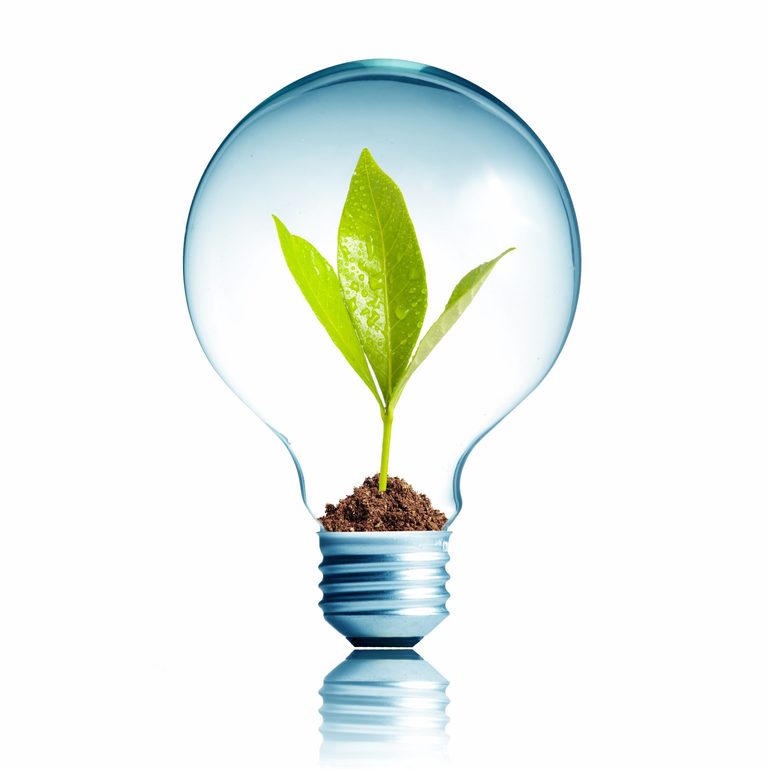 Ecologie, groen, esg