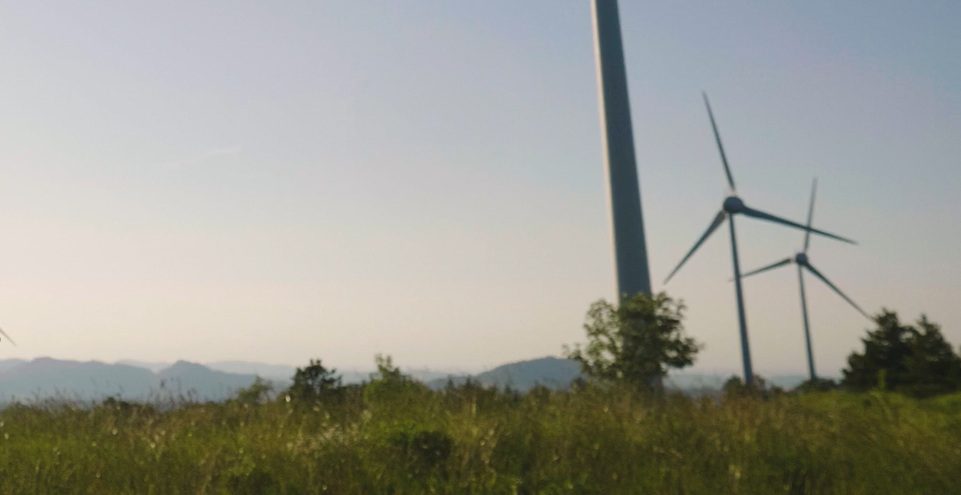 ecologie en de arbeidsmarkt