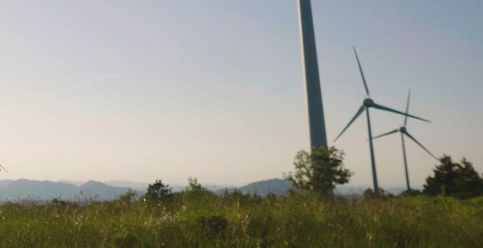 ecologie en de arbeidsmarkt