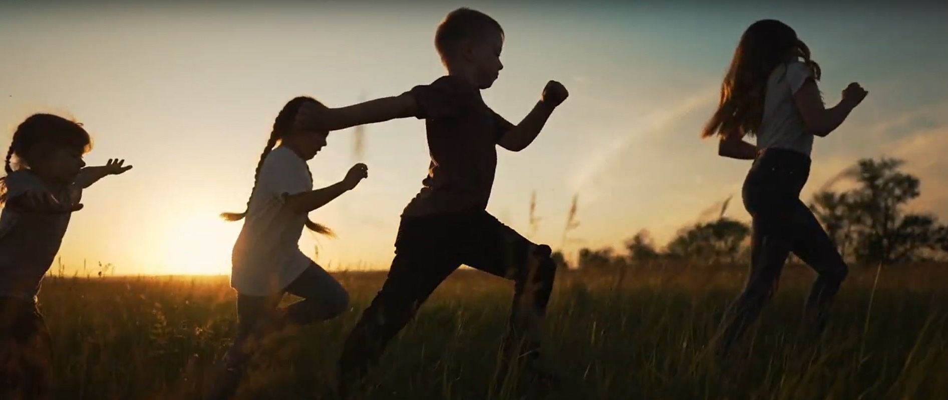 organisatieprofiel logo