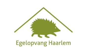 organisatieprofiel logo