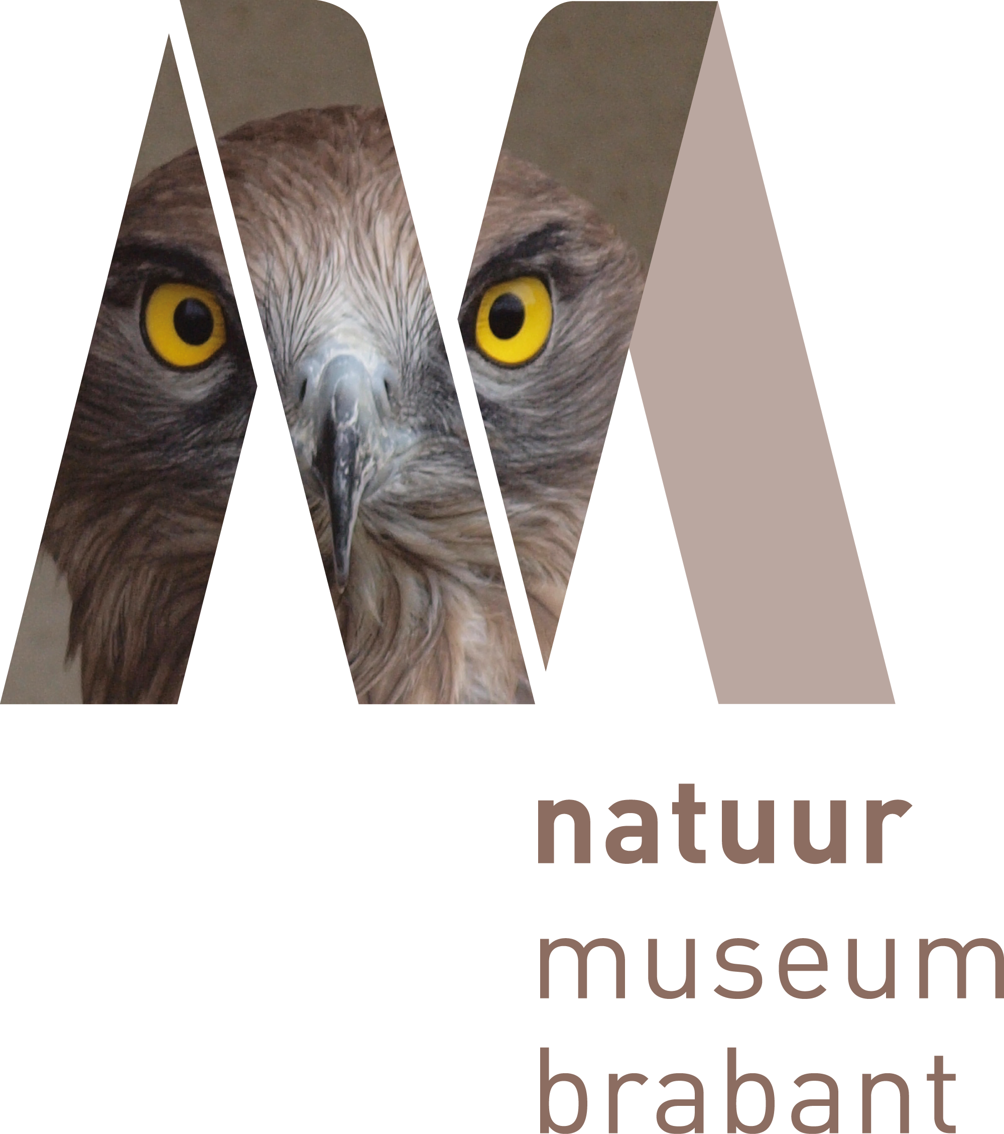 organisatieprofiel logo